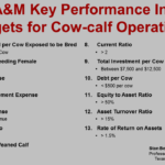 Improving Beef Herd Efficiency Through Ranch Analysis | Southeast ... With Excel Spreadsheet For Cattle Records