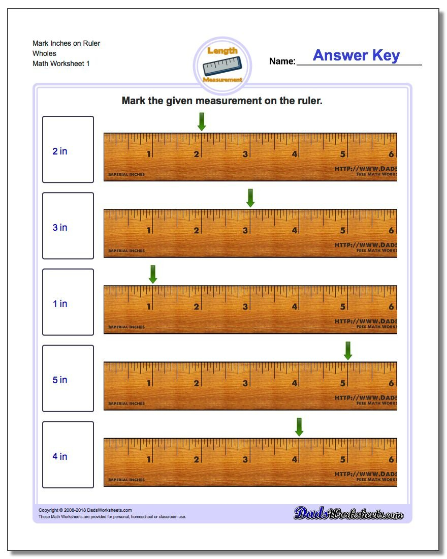 Inches Measurement For Reading A Tape Measure Worksheet Answers
