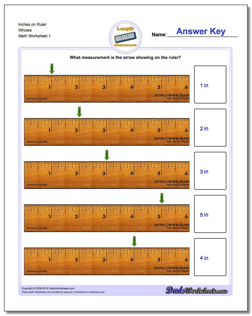 Inches Measurement In Measuring To The Nearest 1 4 Inch Worksheet