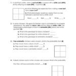 Incomplete Dominance And Codominance Practice Problems Worksheet With Incomplete Dominance And Codominance Practice Problems Worksheet Answer Key