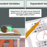 Independent And Dependent Variable Examples And Independent Dependent Variable Worksheet