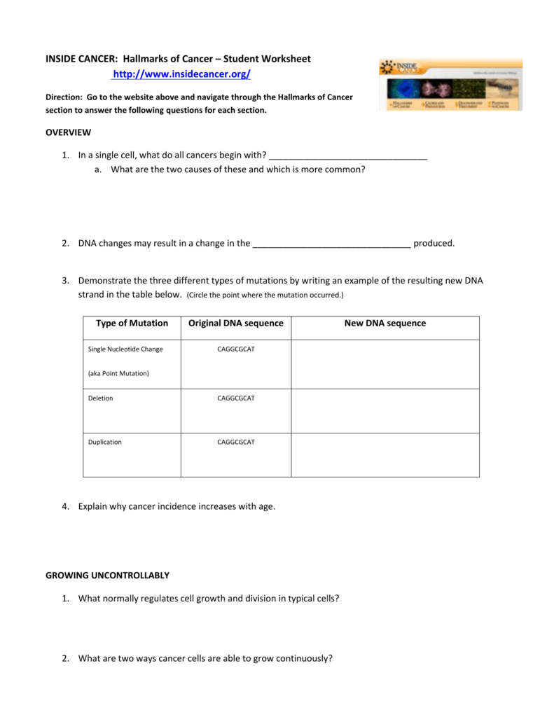 Inside Cancer Online Activity 1415 Edited In The P53 Gene And Cancer Student Worksheet Answers