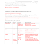 Integrated Science 1 Chapter 6 Organic Molecule Review Name Also Organic Molecules Worksheet Answers