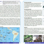 Introduce Evolution With Charles Darwin's Study Of Finches On The Inside Galapagos Island Finches Worksheet