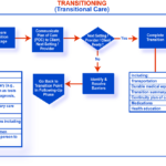 Introduction To The Case Management Body Of Knowledge  Ccmc's Case And Transitional Care Management Worksheet