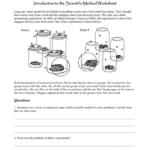 Introduction To The Scientific Method With Introduction To The Scientific Method Worksheet