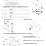 Introductory Food Web Analysis Throughout Food Web Worksheet Answer Key