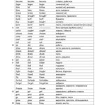 Irregular Verbs Wrussian Translation Worksheet  Free Esl Printable As Well As Russian For Beginners Worksheets