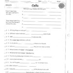 Jacobs Dawn  Science Term 2 In Bill Nye Plants Worksheet Answers