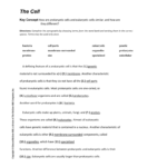 Key Concept Builder With Answers With Chapter 4 Cell Structure And Function Worksheet Answers