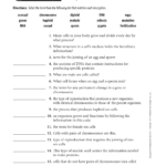 Key Terms Cell Reproduction And Cell Reproduction Worksheet Answers
