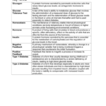 Key Terms  Fall River Public Schools Or Feedback Loops Glucose And Glucagon Worksheet Answers