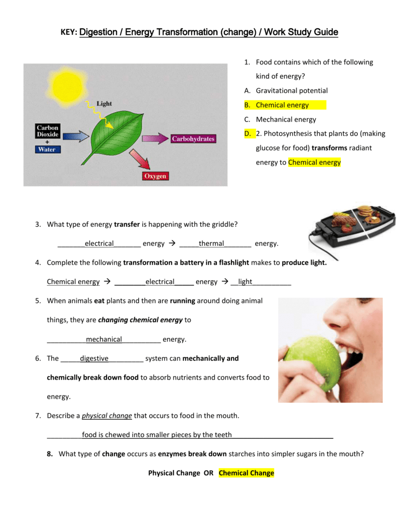 Key To Study Guide Digestion Energy Transformation And Work Also Energy Transformation Game Worksheet Answer Key