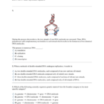 Keystone Review  Southgate Schools Along With Dna Molecule And Replication Worksheet Answers