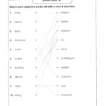 Kindergarten Teacher Worksheets For Kindergarten Sight Words Wall Regarding Teacher Worksheets Websites