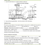 Ks4  Rainforests  Teachit Geography As Well As Layers Of The Rainforest Worksheet
