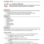 Lab Earthworm Dissection For Earthworm Dissection Worksheet