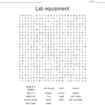 Lab Equipment Word Search  Wordmint Or Lab Equipment Worksheet Answers