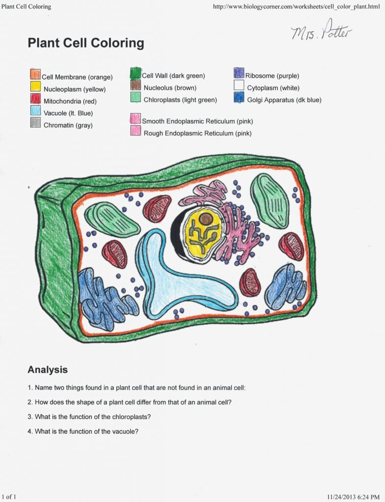 Label Plant Cell Worksheet Animal And For 5Th Grade Color Diagram Of Inside Plant Cell Coloring Worksheet