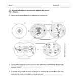 Label Plant Cell Worksheet Inspirational Animal Cells Drawing At In Cell Worksheet Pdf