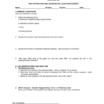 Laboratory Report  Stuyvesant High School And Dna Extraction Virtual Lab Worksheet