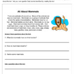 Learning About Mammals Worksheet  Have Fun Teaching Intended For Learning To Read Worksheets