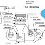 Learning Targets I Can Identify The Parts Of A Camera I Can Analyze For Pinhole Camera Worksheet