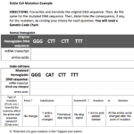 Learning The Language Of Protein Synthesis  Ruthie Gronenthal For Dna Mutations Practice Worksheet