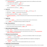 Lesson 1  Sexual Reproduction And Meiosis And Meiosis 1 And Meiosis 2 Worksheet Answer Key