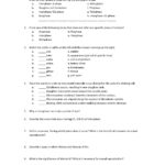 Lesson 72 Cell Structure Worksheet Answers  Briefencounters For 7 2 Cell Structure Worksheet Answers