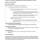 Lesson Plan Teaching Photosynthesis And Cellular Respiration In Within Photosynthesis And Cellular Respiration Worksheet High School