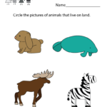 Life Science Animal Worksheet  Free Kindergarten Learning Worksheet For Science Worksheets For Kids
