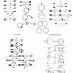 Lovely Dna Replication Coloring Worksheet Answer Key  Coloring Pages Or Dna The Double Helix Coloring Worksheet Key