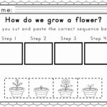 Lovely Life Cycle Worksheet Third Grade – Rpplusplus For Plant Life Cycle Worksheet 3Rd Grade