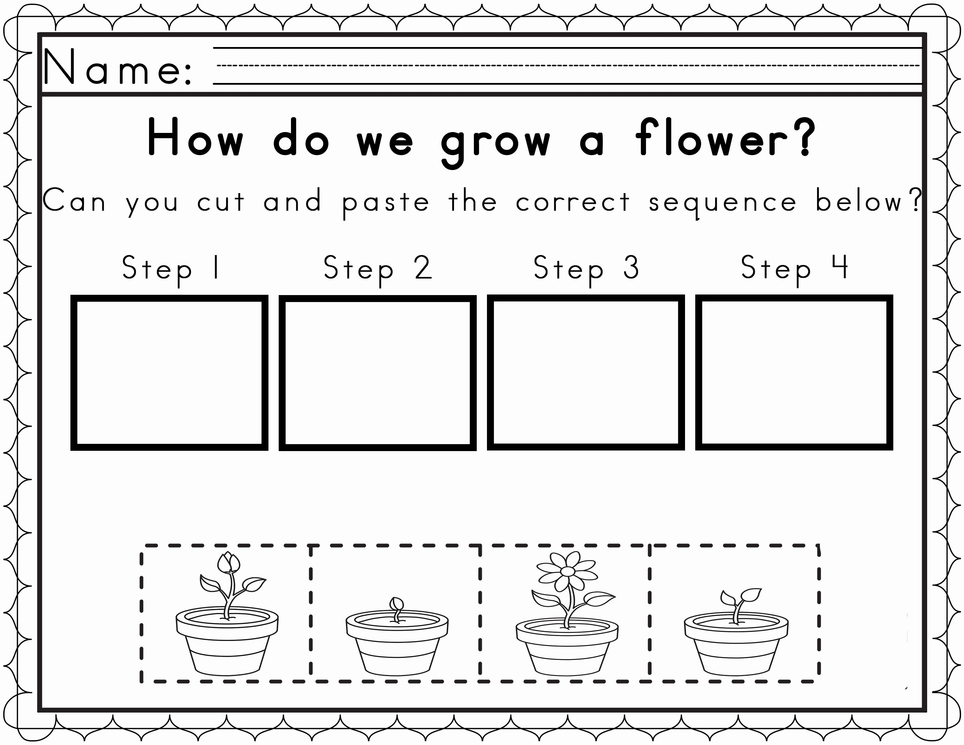 Lovely Life Cycle Worksheet Third Grade – Rpplusplus For Plant Life Cycle Worksheet 3Rd Grade