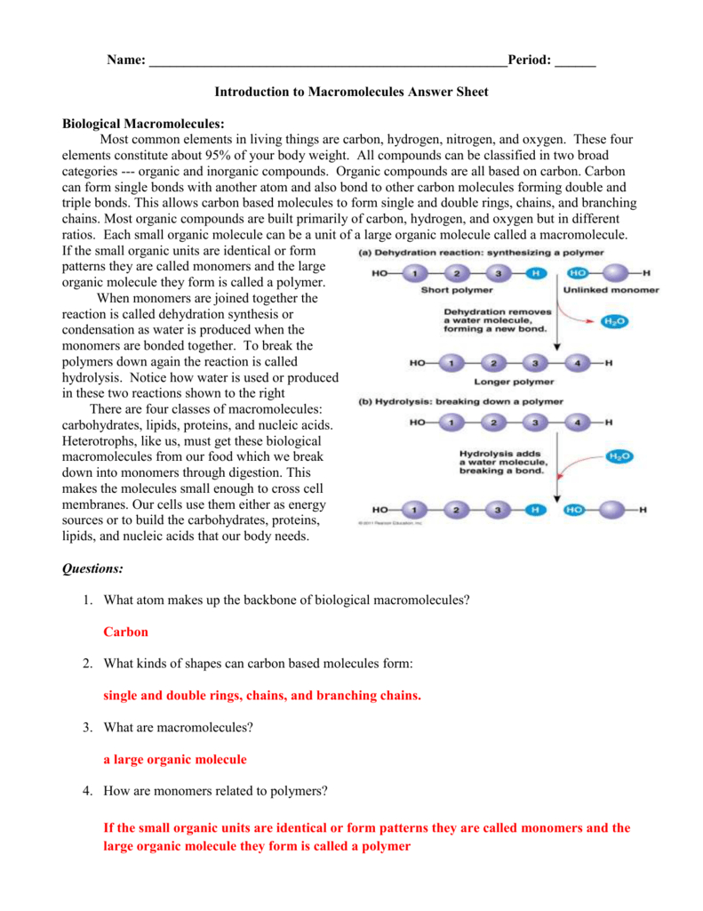 Macromolecule Worksheet Answer Keydoc For Organic Molecules Worksheet Answers