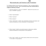 Macromoleculesandnutritionlabelchemistry Intended For Nutrition Label Worksheet Answers