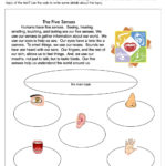 Main Idea Worksheets  Have Fun Teaching Regarding Realism And Fantasy Worksheets For Kindergarten