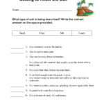 Math Fractions Work Sheet 2 And Subjects Objects And Predicates With Pirates Worksheet