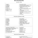 Medical Terminology In Respiratory System Medical Terminology Worksheet