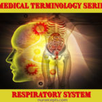 Medical Terminology Of The Respiratory System  Nursecepts And Respiratory System Medical Terminology Worksheet