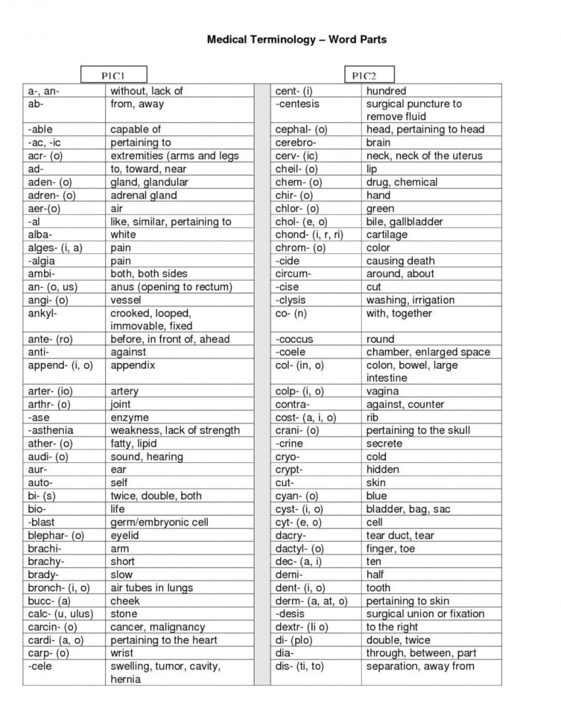 Medical Terminology Prefixes Worksheet — Excelguider.com