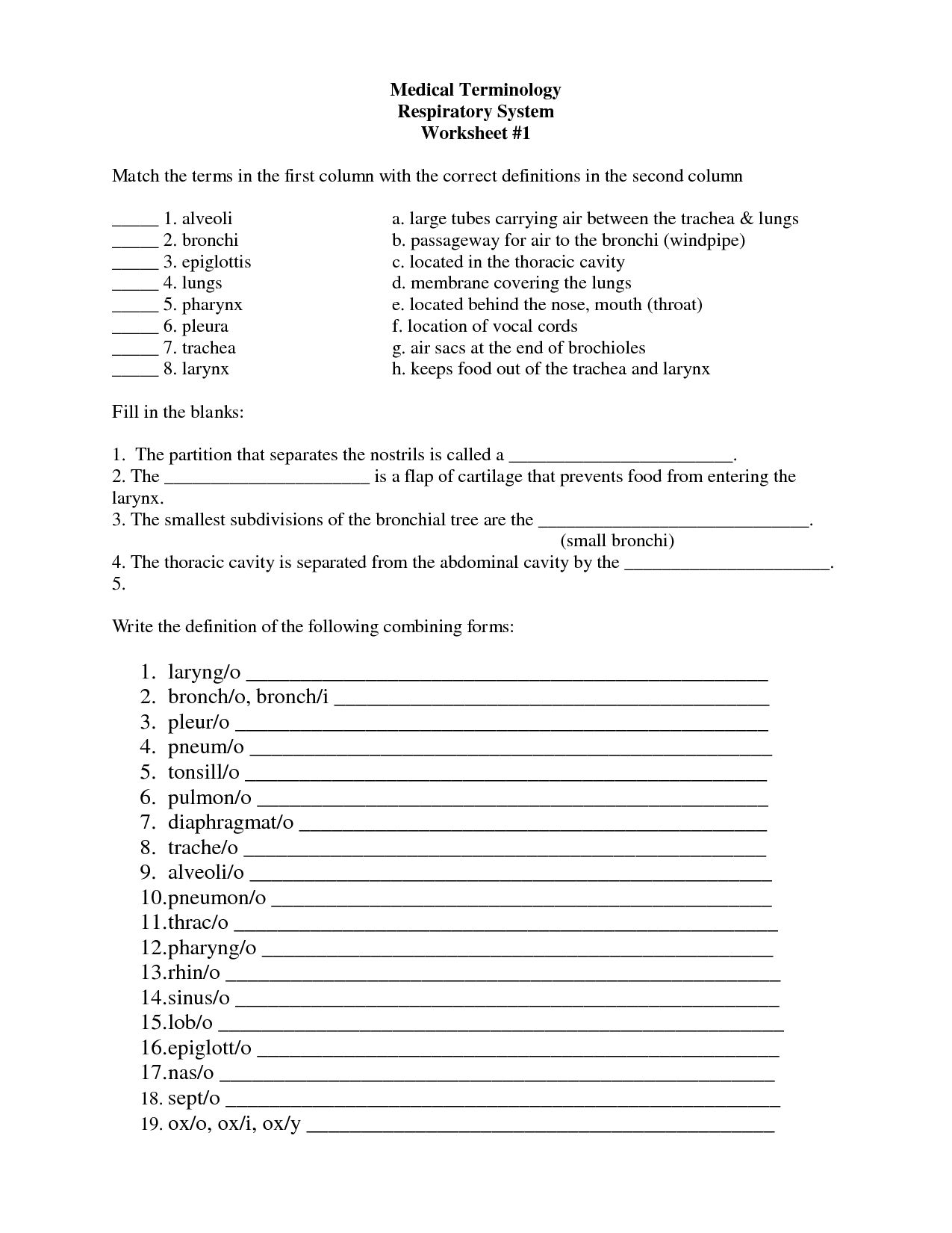 Medical Terminology Suffixes Worksheet  Briefencounters Within Medical Terminology Suffixes Worksheet
