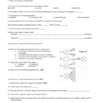 Meiosis Review Worksheet For Meiosis 1 And Meiosis 2 Worksheet