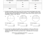Microscope Calculations Worksheet Pertaining To Measuring With A Microscope Worksheet