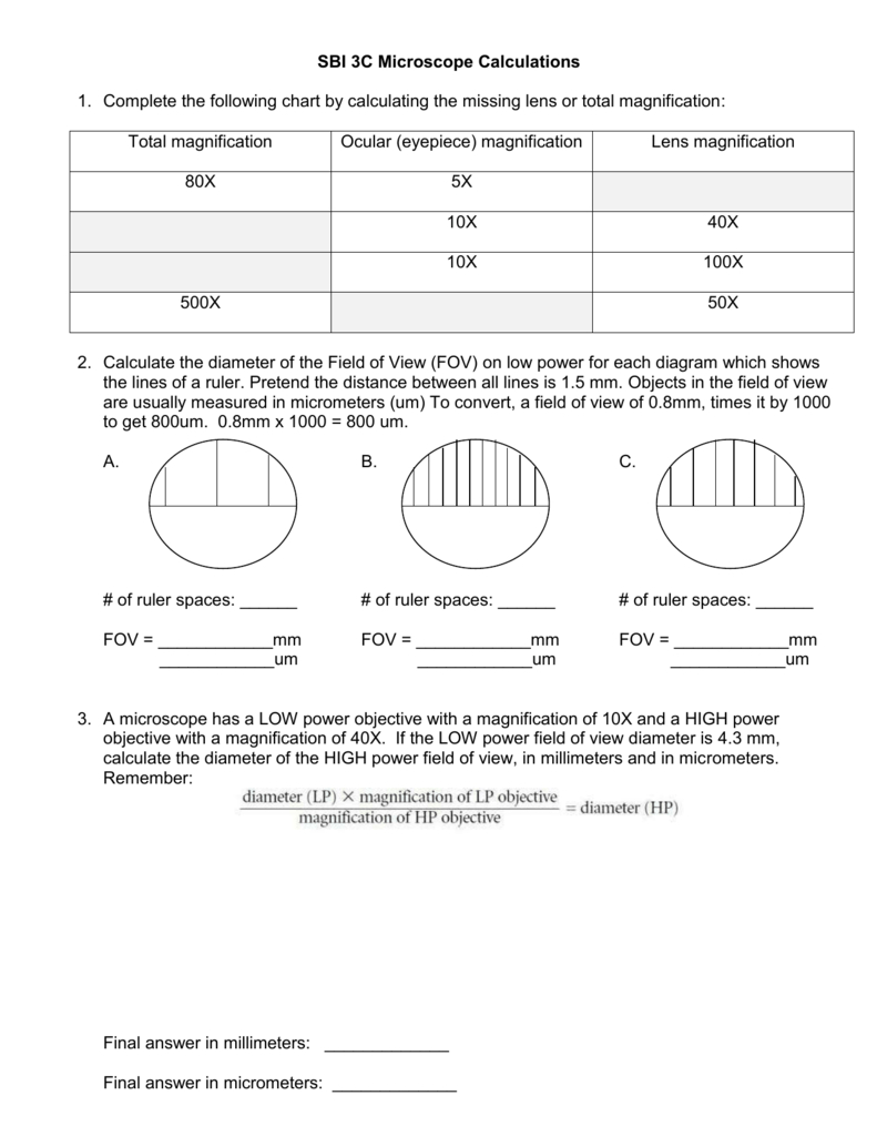 Microscope Calculations Worksheet Pertaining To Measuring With A Microscope Worksheet