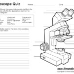 Microscope Diagram Labeled Unlabeled And Blank  Parts Of A Microscope And Using A Microscope Worksheet