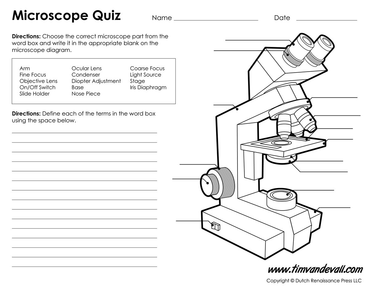Microscope Diagram Labeled Unlabeled And Blank  Parts Of A Microscope With Optical Microscopes Worksheet
