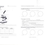 Microscope Drawing Worksheet At Paintingvalley  Explore In Microscope Parts And Use Worksheet Answers