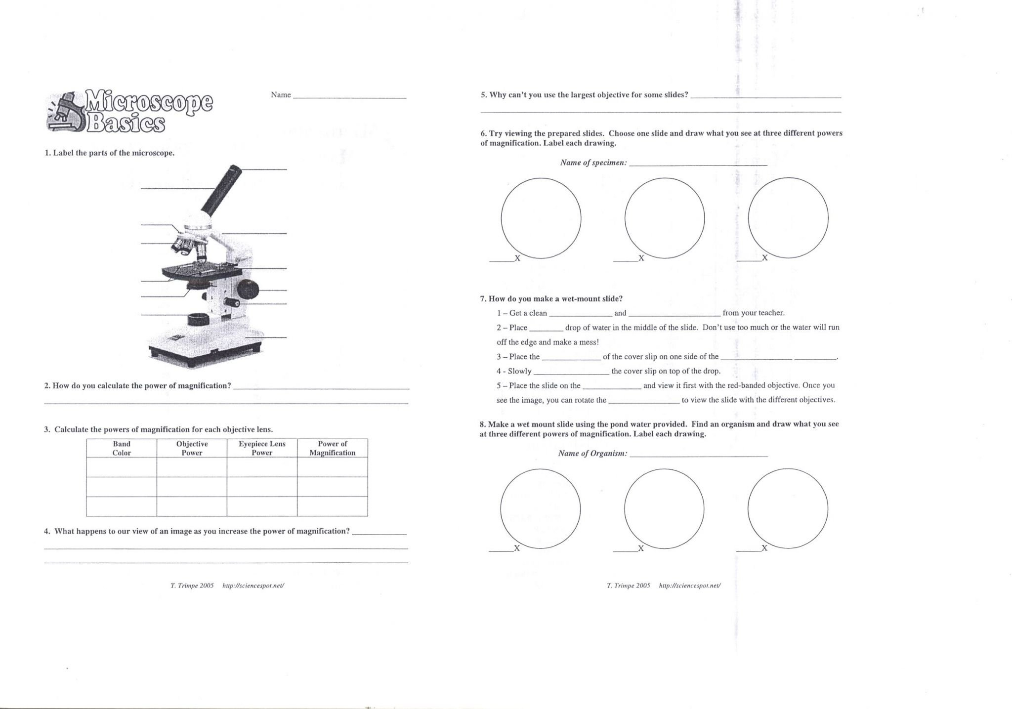 Microscope Drawing Worksheet At Paintingvalley  Explore Or Microscope Parts And Use Worksheet Answer Key